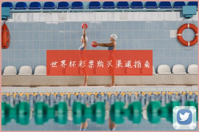 世界杯彩票购买渠道指南