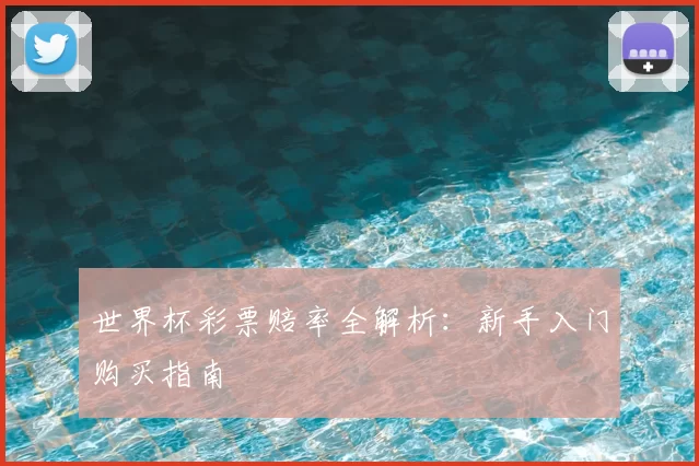 世界杯彩票赔率全解析：新手入门购买指南