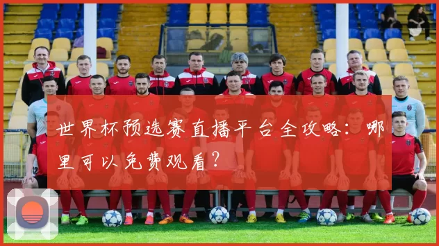 世界杯预选赛直播平台全攻略:哪里可以免费观看?