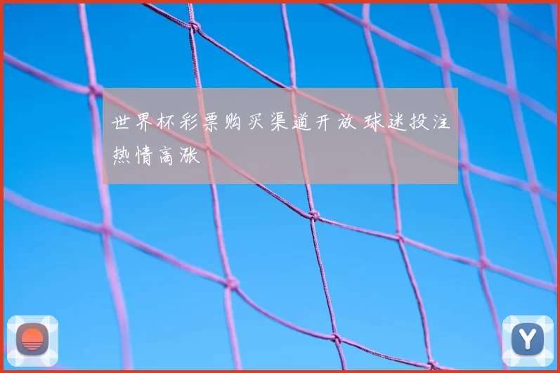 世界杯彩票购买渠道开放 球迷投注热情高涨