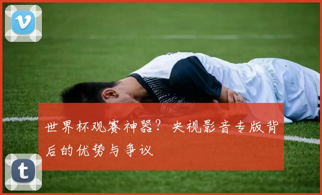 世界杯观赛神器?央视影音专版背后的优势与争议
