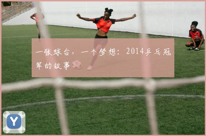一张球台，一个梦想：2014乒乓冠军的故事