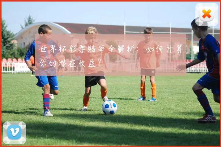 世界杯彩票赔率全解析：如何计算你的潜在收益？