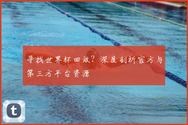 寻找世界杯回放？深度剖析官方与第三方平台资源