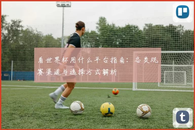 看世界杯用什么平台指南:各类观赛渠道与选择方式解析