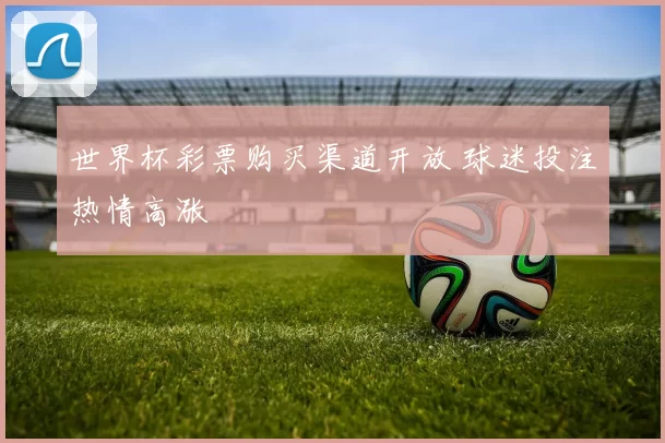 世界杯彩票购买渠道开放 球迷投注热情高涨