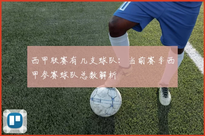 西甲联赛有几支球队:当前赛季西甲参赛球队总数解析