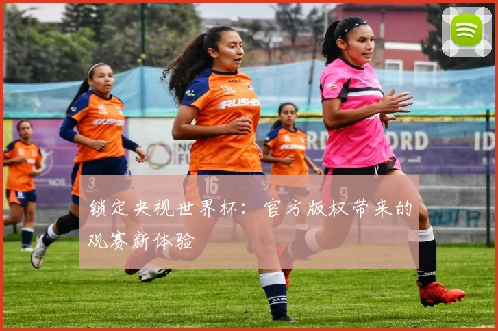 锁定央视世界杯:官方版权带来的观赛新体验